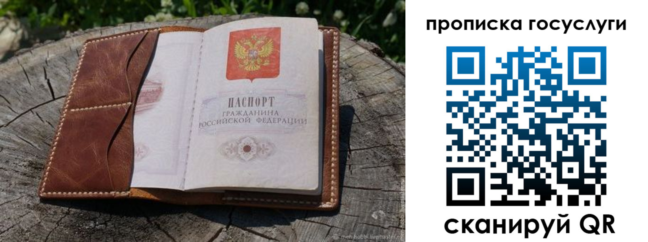 прописка для школы в Томске